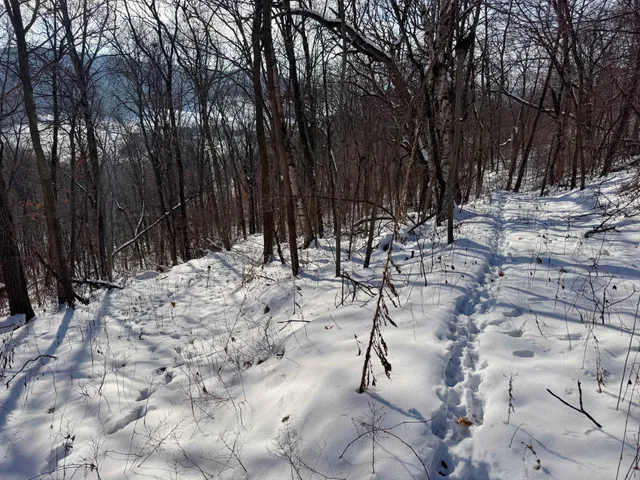 $806,000 | W27022 Whistle Pass Road, Dodge, WI 54661