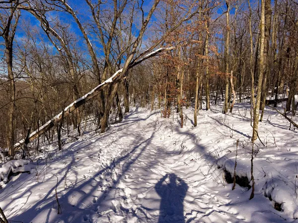 $806,000 | W27022 Whistle Pass Road, Dodge, WI 54661
