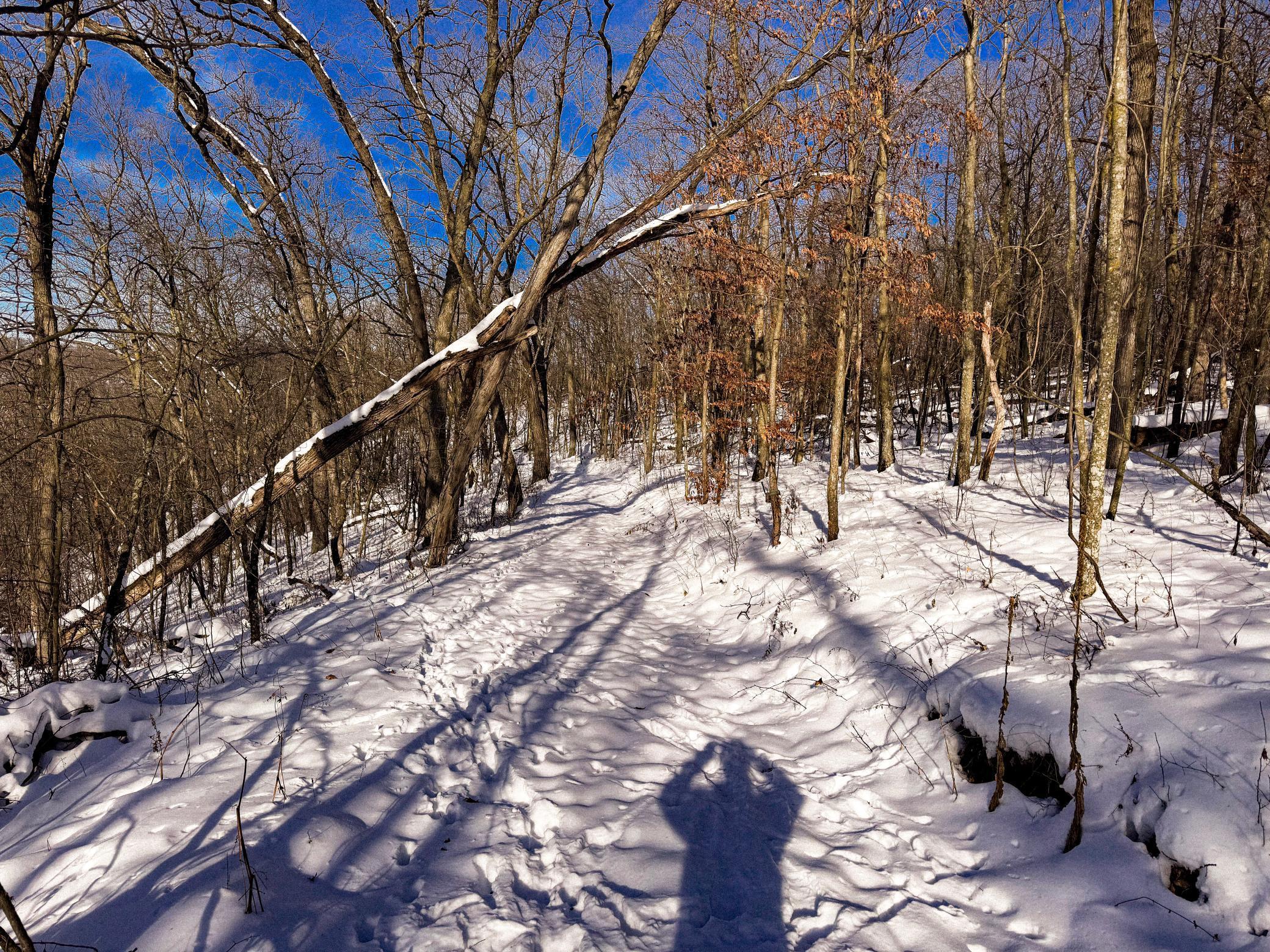 W27022 Whistle Pass Road Dodge, WI 54661 - Photo 16 of 117
