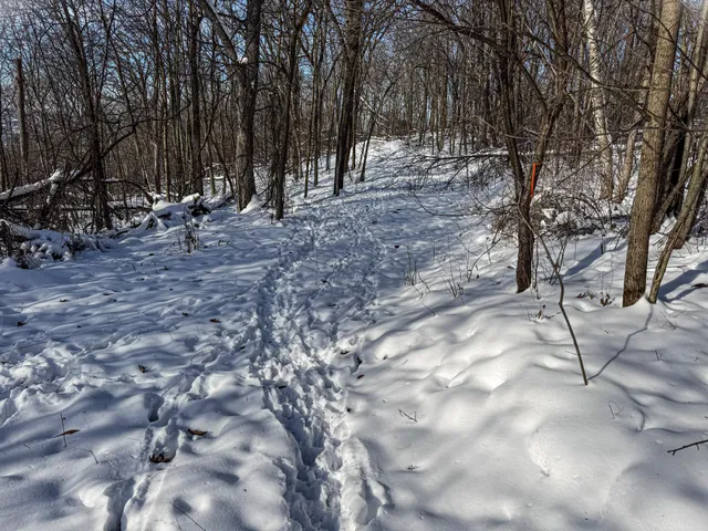 $806,000 | W27022 Whistle Pass Road, Dodge, WI 54661