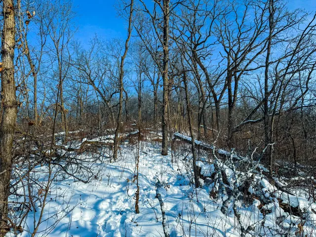 $806,000 | W27022 Whistle Pass Road, Dodge, WI 54661