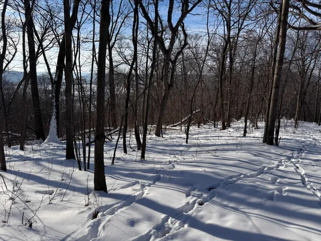 $806,000 | W27022 Whistle Pass Road, Dodge, WI 54661