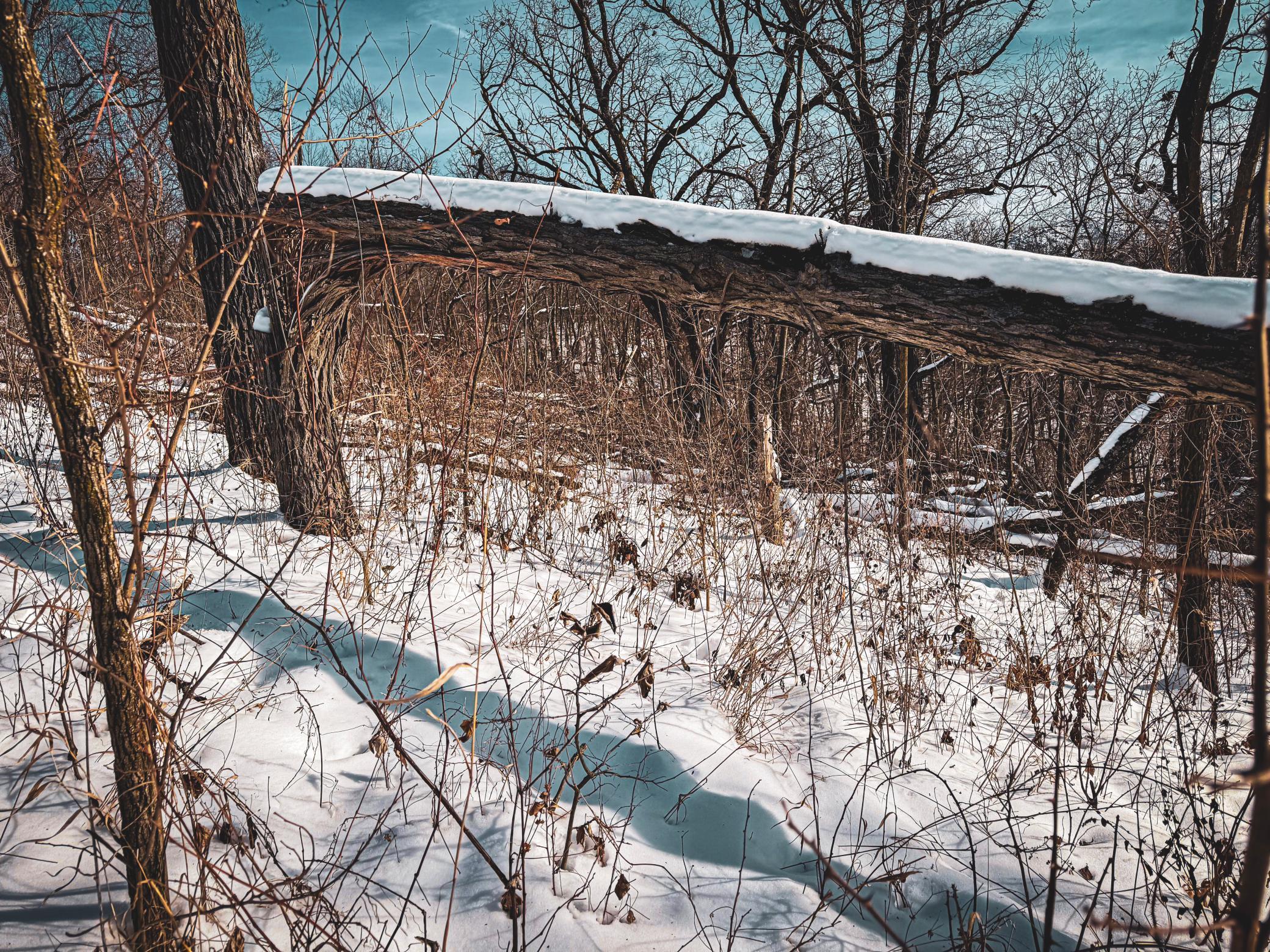 W27022 Whistle Pass Road Dodge, WI 54661 - Photo 21 of 117