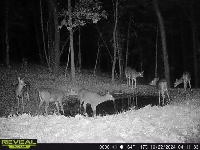 $806,000 | W27022 Whistle Pass Road, Dodge, WI 54661