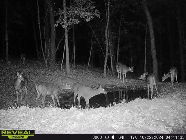 W27022 Whistle Pass Road Dodge, WI 54661 - Photo 22 of 117