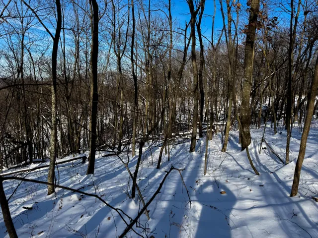 $806,000 | W27022 Whistle Pass Road, Dodge, WI 54661