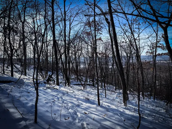 $806,000 | W27022 Whistle Pass Road, Dodge, WI 54661