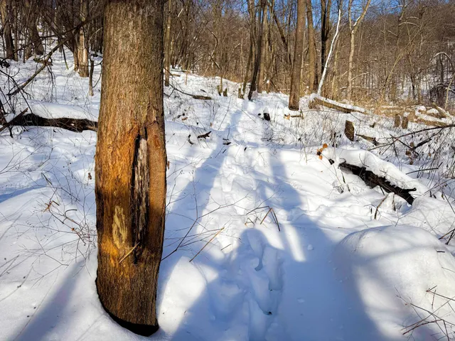 $806,000 | W27022 Whistle Pass Road, Dodge, WI 54661