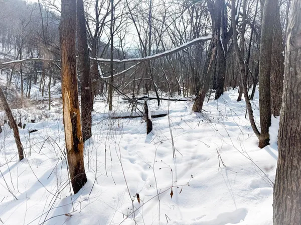 $806,000 | W27022 Whistle Pass Road, Dodge, WI 54661