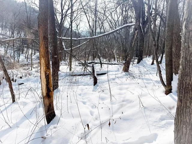 $806,000 | W27022 Whistle Pass Road, Dodge, WI 54661