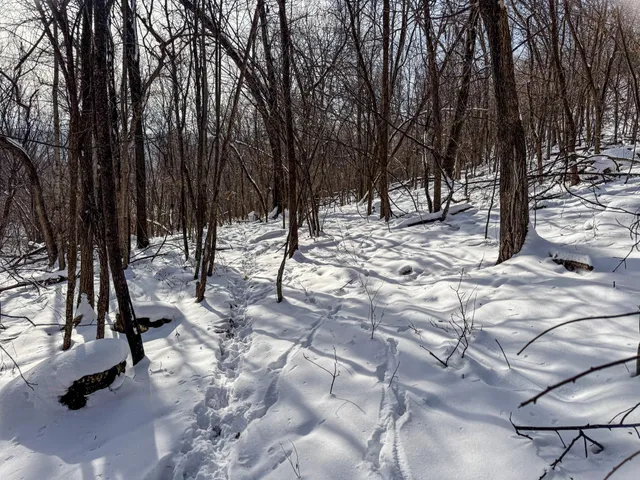 $806,000 | W27022 Whistle Pass Road, Dodge, WI 54661