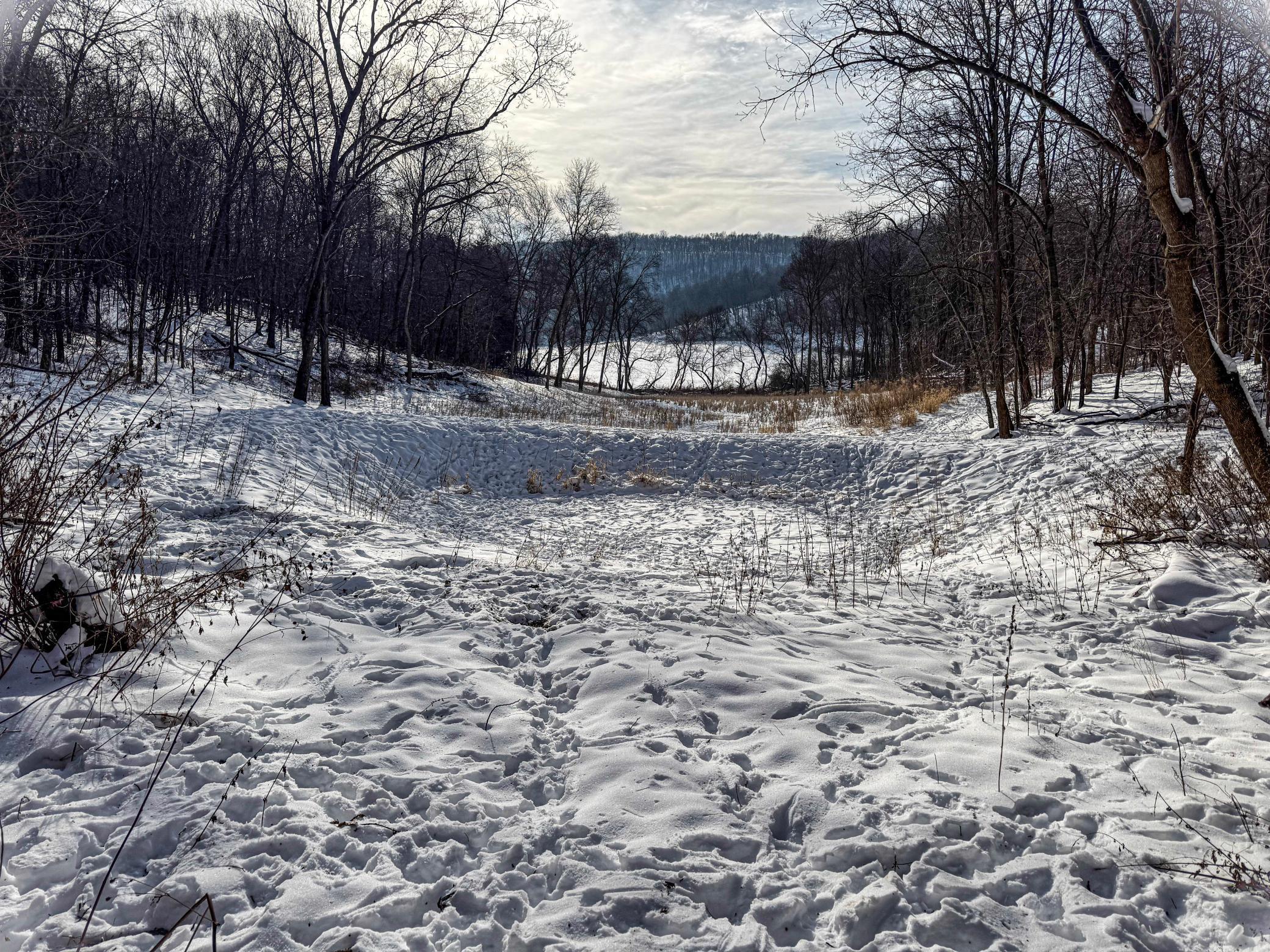 W27022 Whistle Pass Road Dodge, WI 54661 - Photo 30 of 117