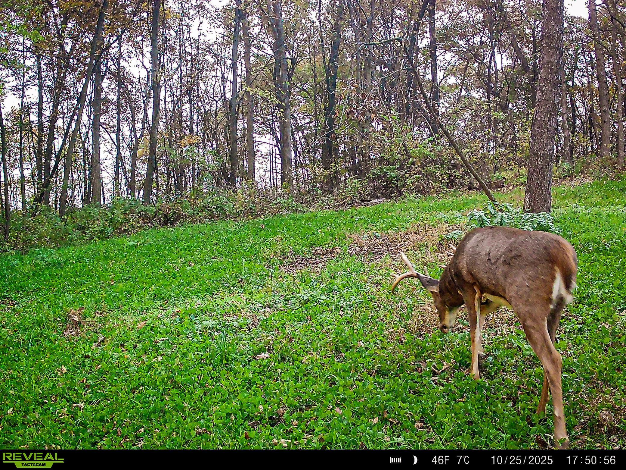 W27022 Whistle Pass Road Dodge, WI 54661 - Photo 3 of 117