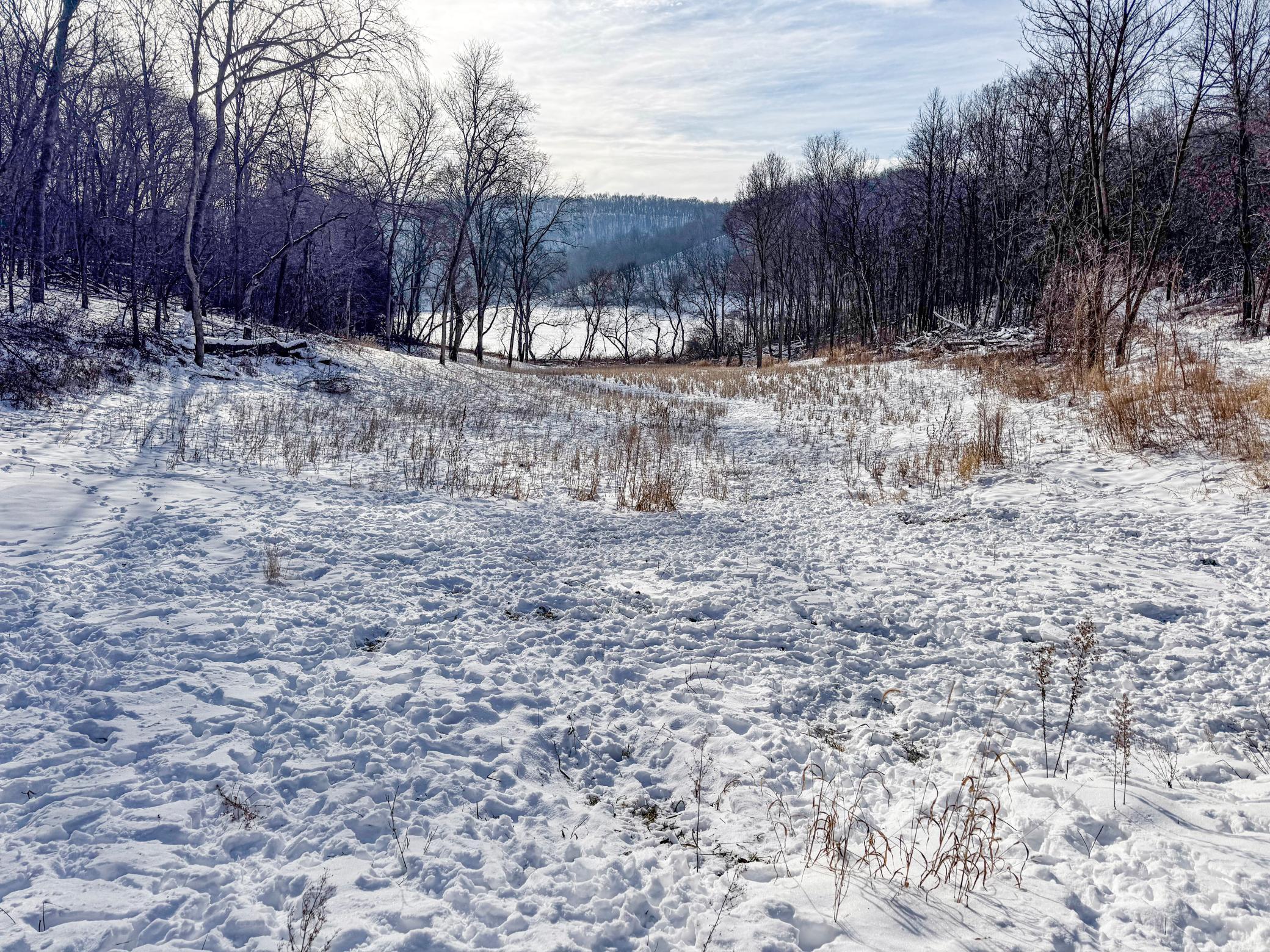 W27022 Whistle Pass Road Dodge, WI 54661 - Photo 32 of 117
