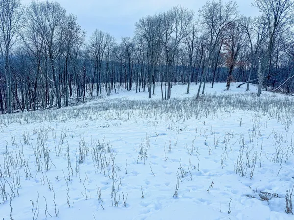 $806,000 | W27022 Whistle Pass Road, Dodge, WI 54661