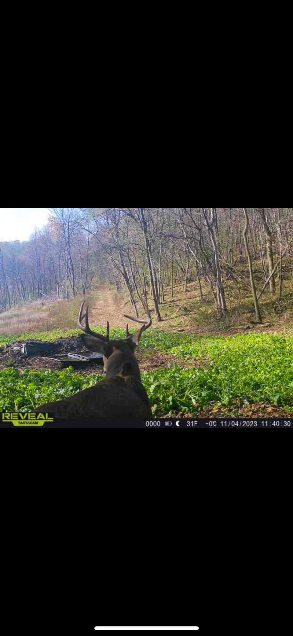 W27022 Whistle Pass Road Dodge, WI 54661 - Photo 35 of 117