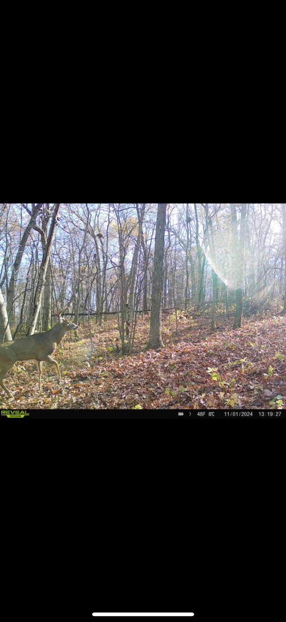 W27022 Whistle Pass Road Dodge, WI 54661 - Photo 36 of 117