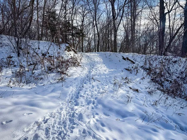 $806,000 | W27022 Whistle Pass Road, Dodge, WI 54661