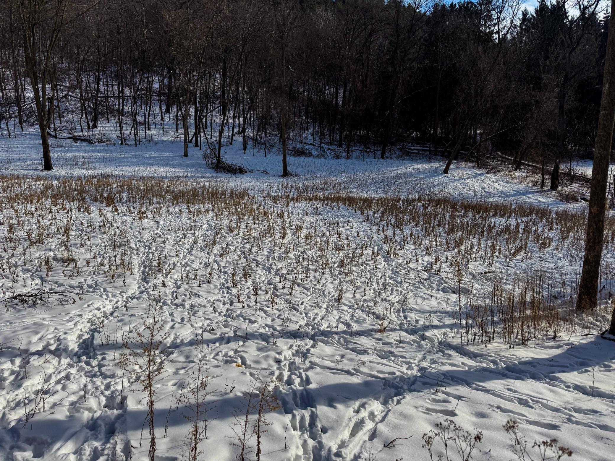 W27022 Whistle Pass Road Dodge, WI 54661 - Photo 38 of 117