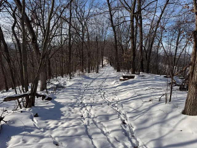 $806,000 | W27022 Whistle Pass Road, Dodge, WI 54661