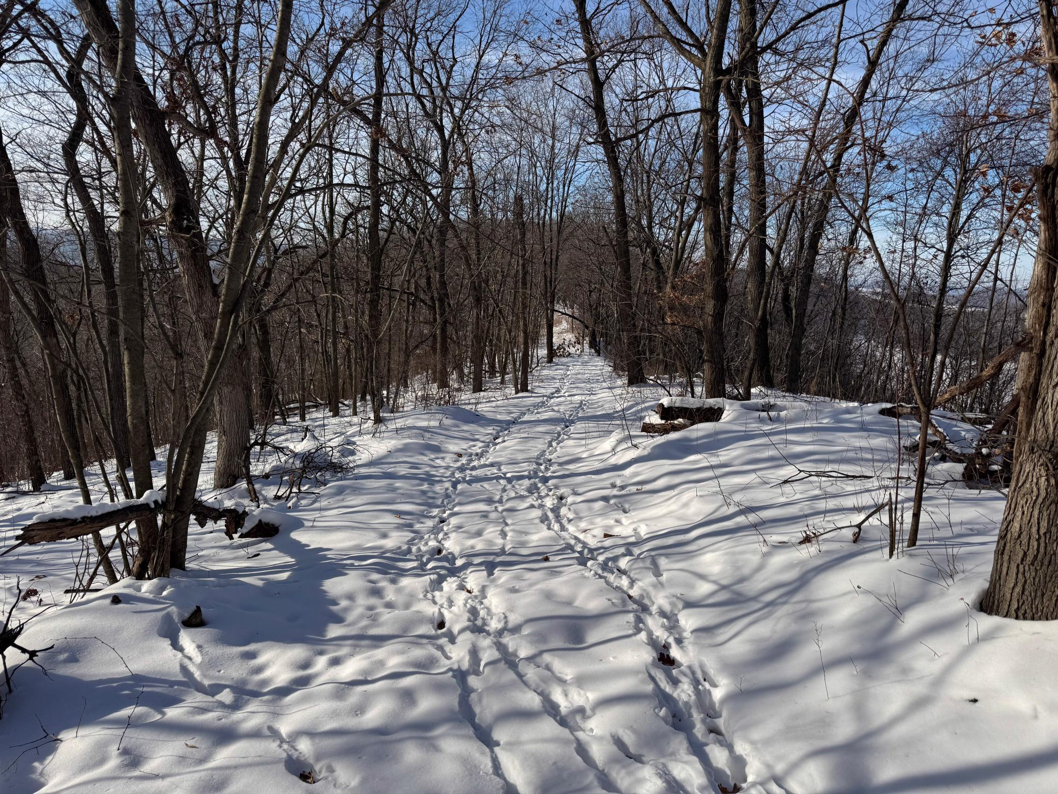 W27022 Whistle Pass Road Dodge, WI 54661 - Photo 4 of 117