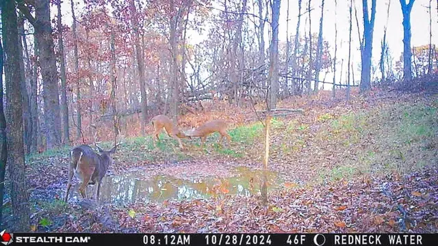 $806,000 | W27022 Whistle Pass Road, Dodge, WI 54661