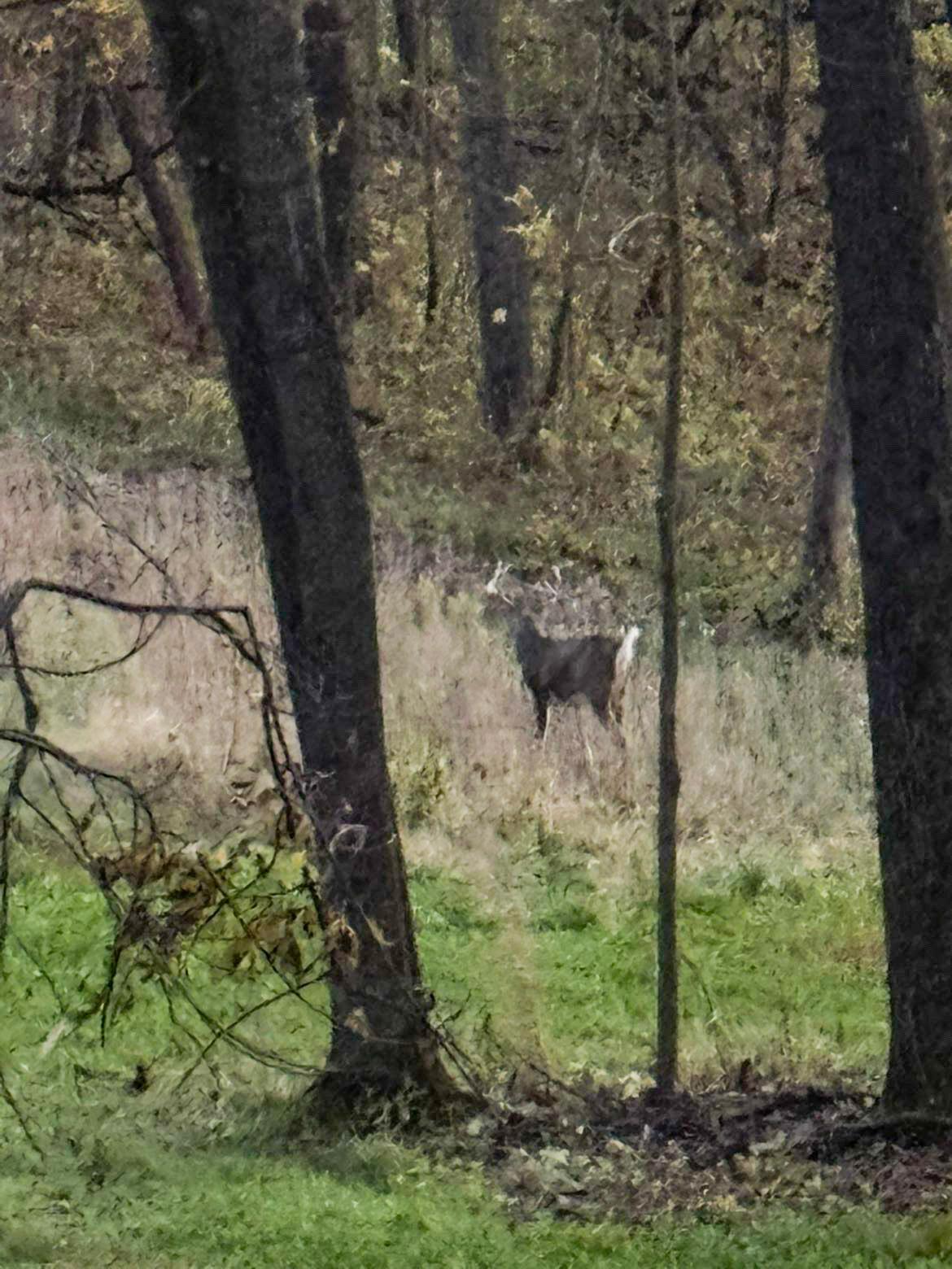 W27022 Whistle Pass Road Dodge, WI 54661 - Photo 45 of 117