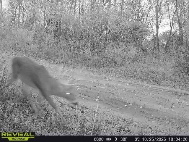 W27022 Whistle Pass Road Dodge, WI 54661 - Photo 46 of 117