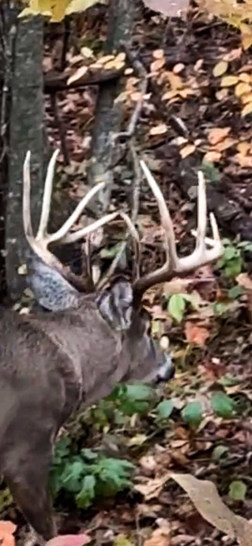 W27022 Whistle Pass Road Dodge, WI 54661 - Photo 47 of 117