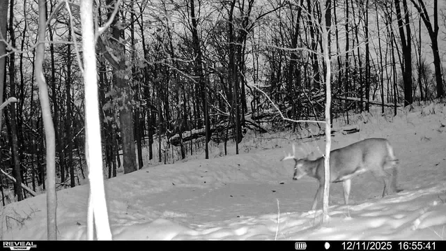 $806,000 | W27022 Whistle Pass Road, Dodge, WI 54661