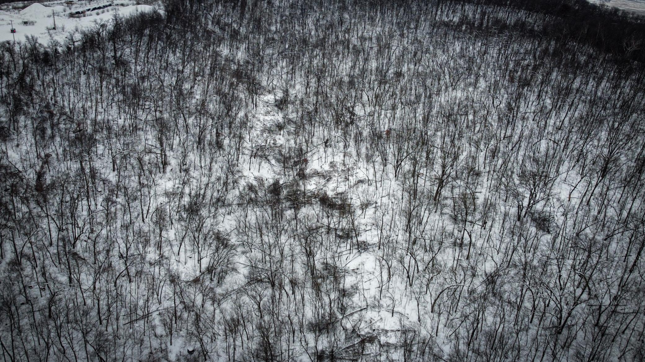 W27022 Whistle Pass Road Dodge, WI 54661 - Photo 50 of 117