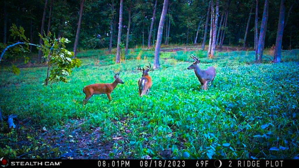 W27022 Whistle Pass Road Dodge, WI 54661 - Photo 5 of 117