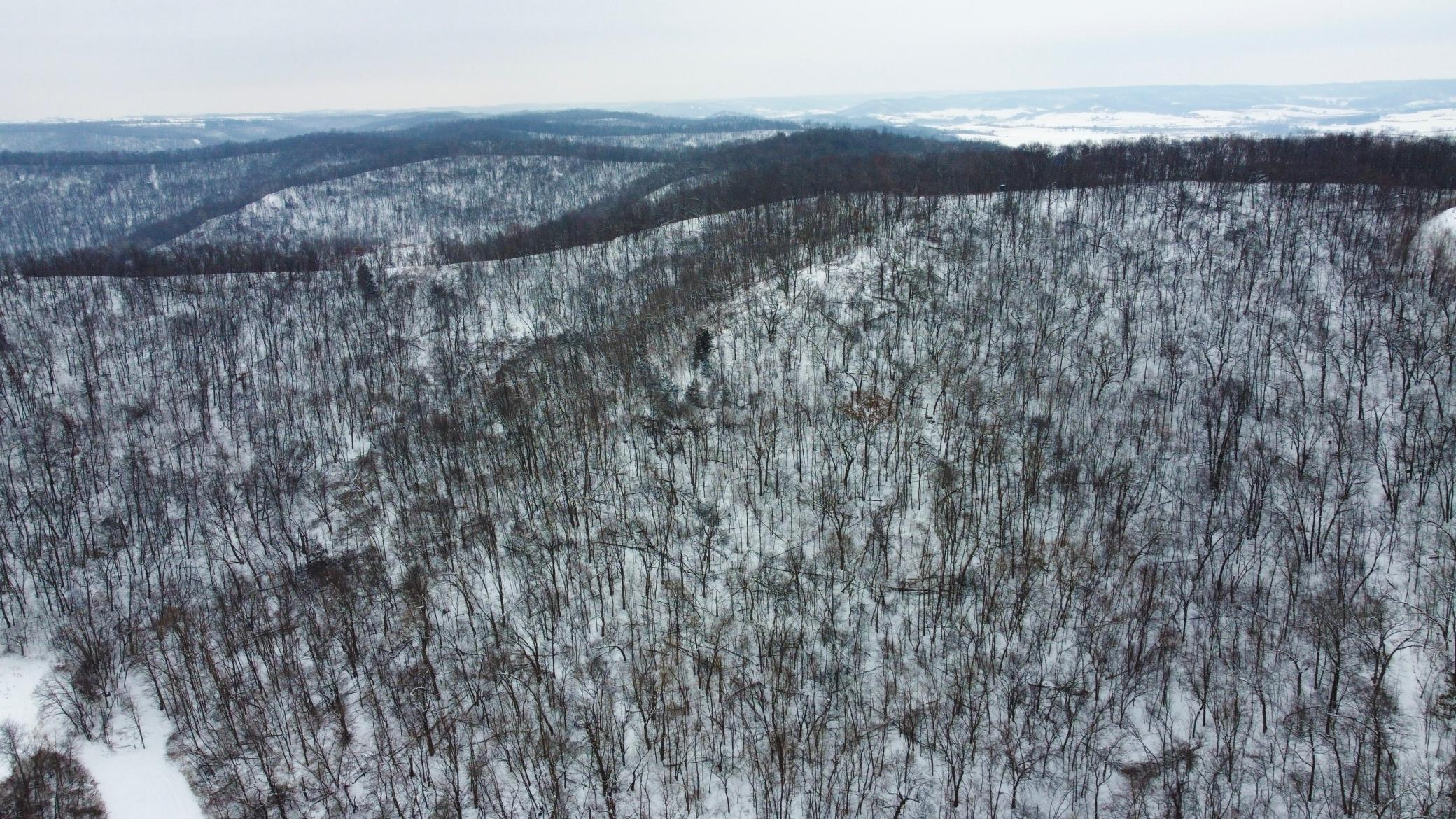W27022 Whistle Pass Road Dodge, WI 54661 - Photo 51 of 117