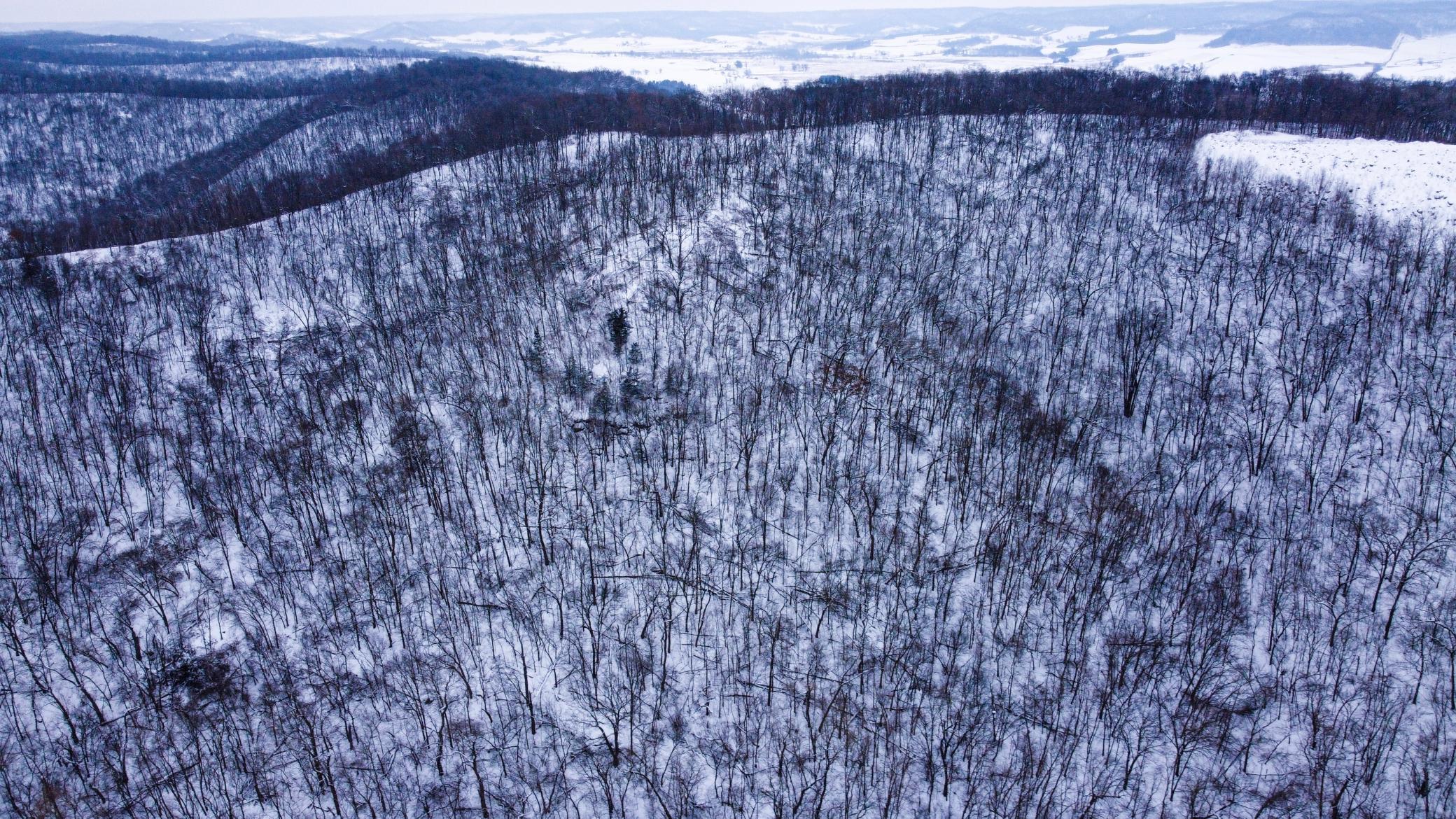 W27022 Whistle Pass Road Dodge, WI 54661 - Photo 52 of 117