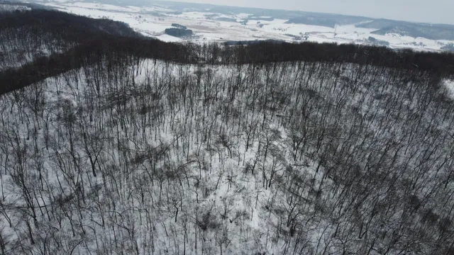 $806,000 | W27022 Whistle Pass Road, Dodge, WI 54661