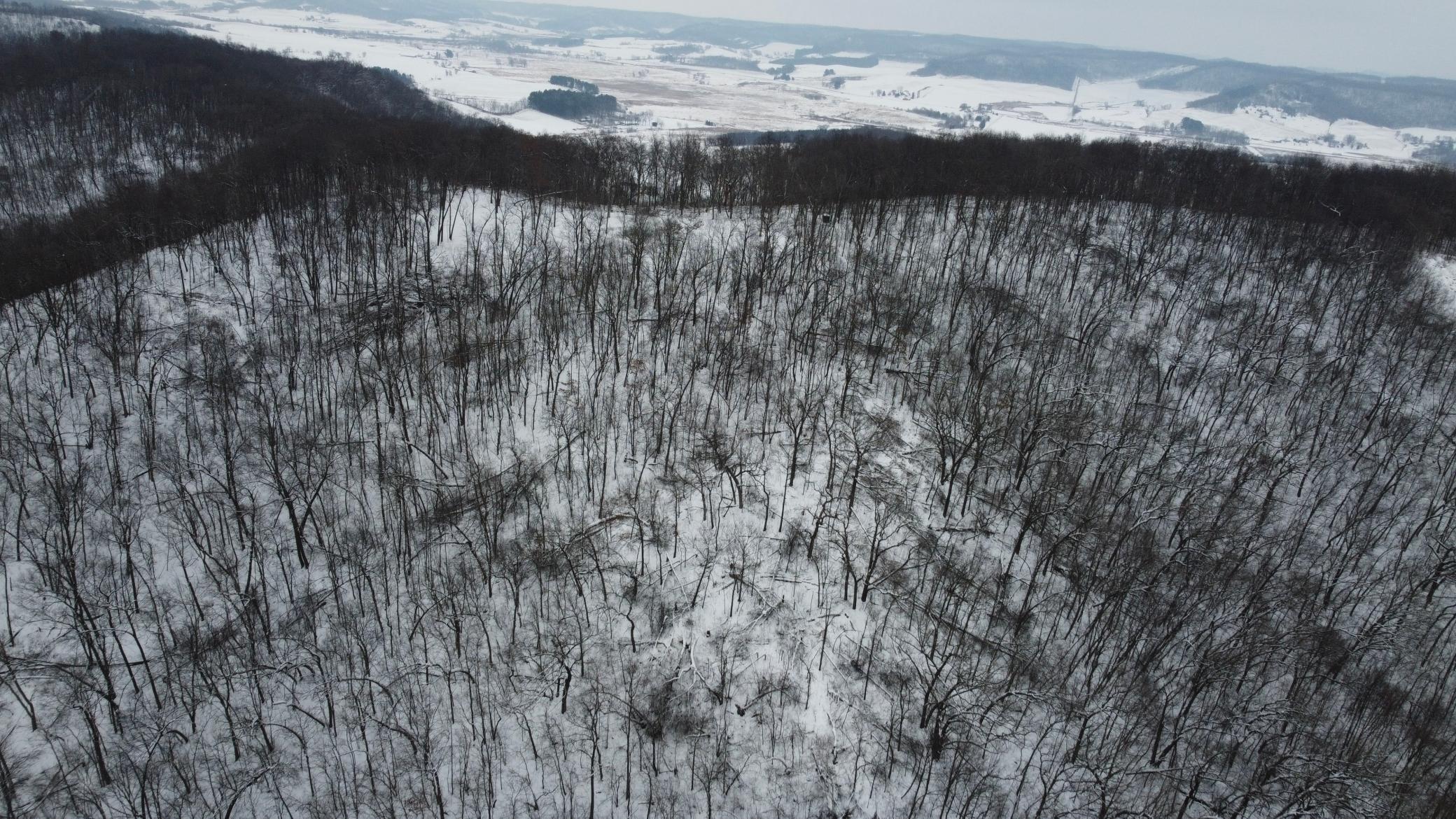 W27022 Whistle Pass Road Dodge, WI 54661 - Photo 53 of 117