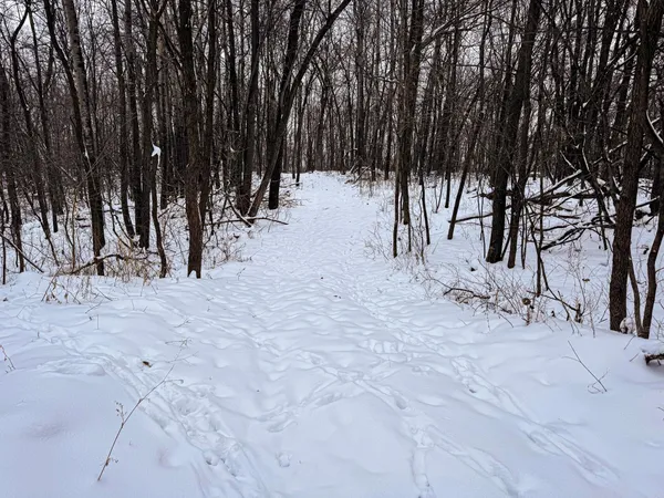 $806,000 | W27022 Whistle Pass Road, Dodge, WI 54661