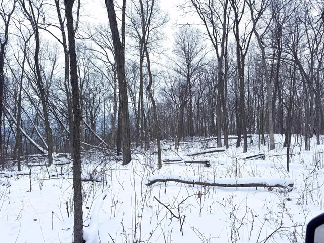 $806,000 | W27022 Whistle Pass Road, Dodge, WI 54661