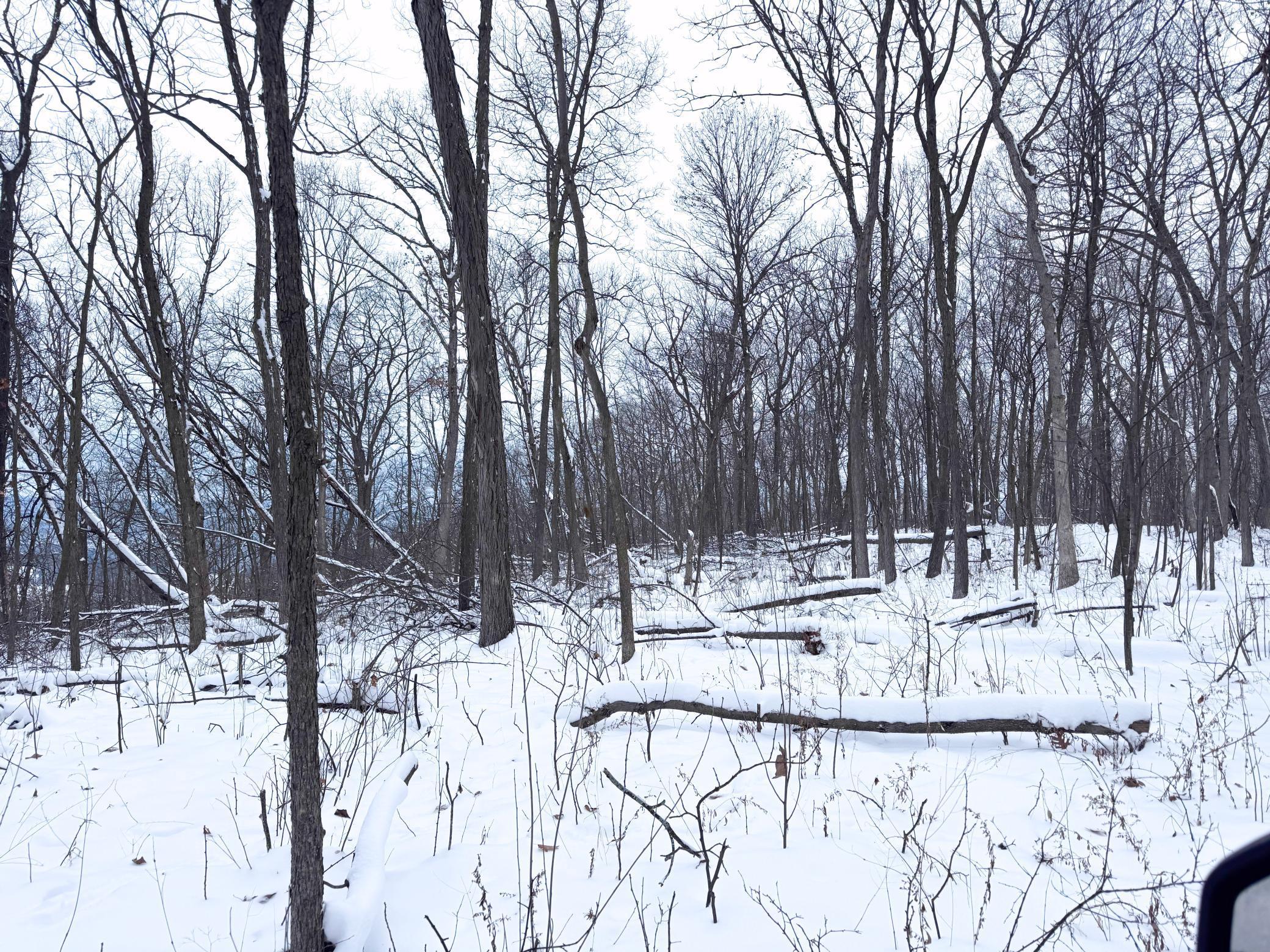 W27022 Whistle Pass Road Dodge, WI 54661 - Photo 57 of 117