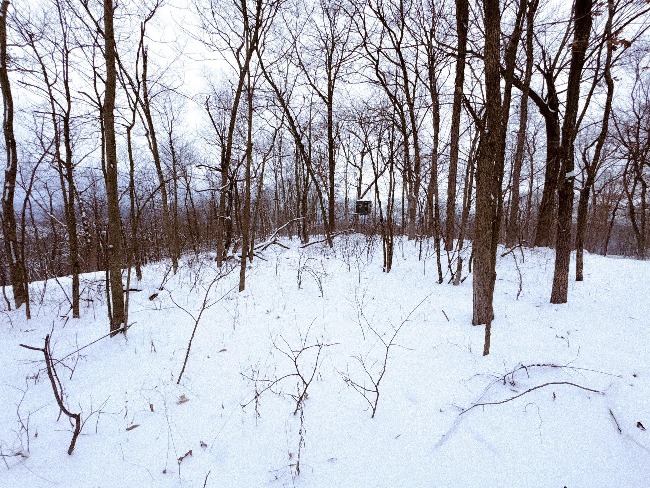 W27022 Whistle Pass Road Dodge, WI 54661 - Photo 58 of 117
