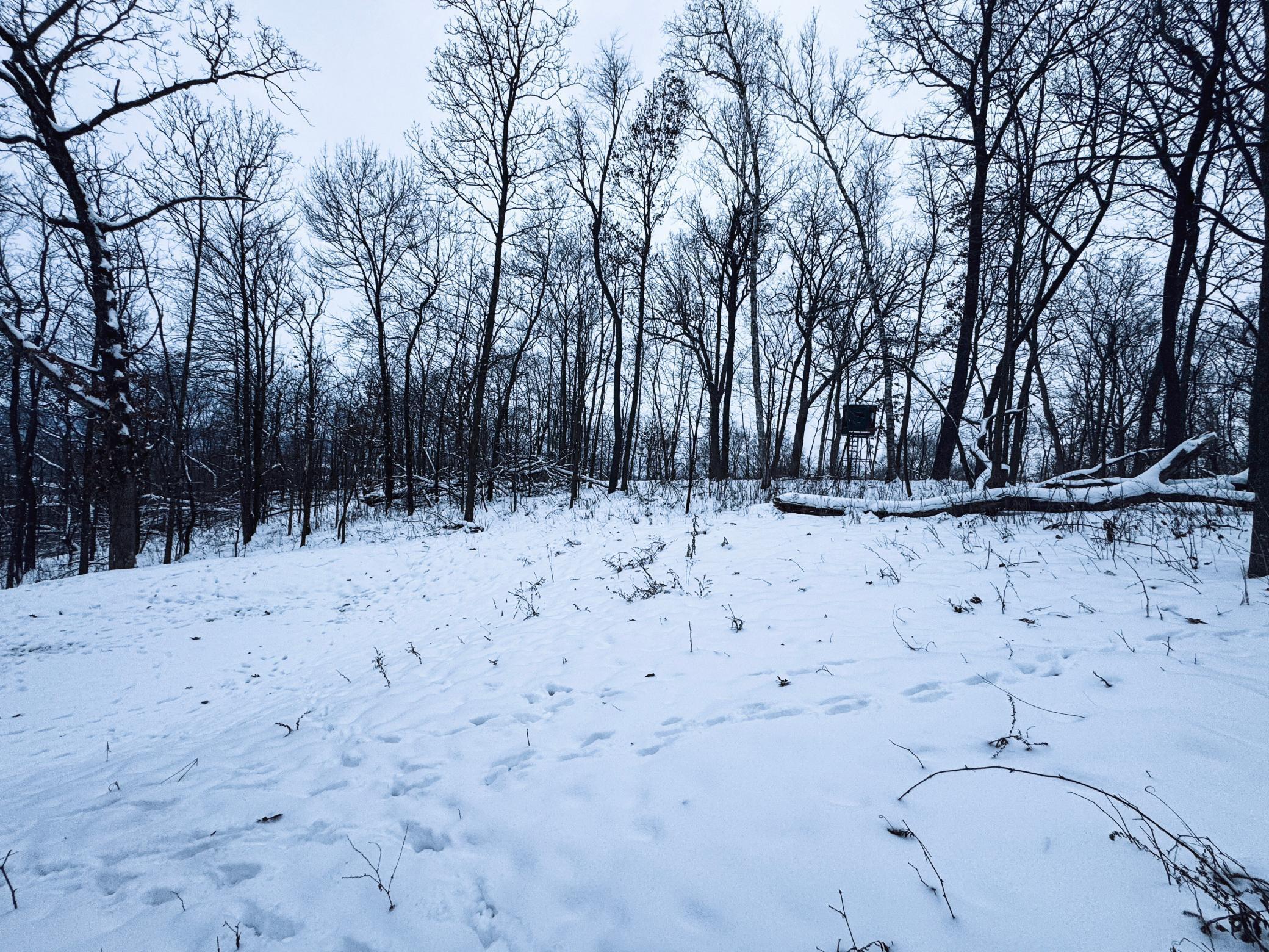 W27022 Whistle Pass Road Dodge, WI 54661 - Photo 59 of 117