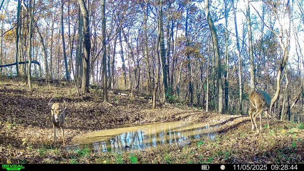 $806,000 | W27022 Whistle Pass Road, Dodge, WI 54661