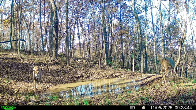 $806,000 | W27022 Whistle Pass Road, Dodge, WI 54661