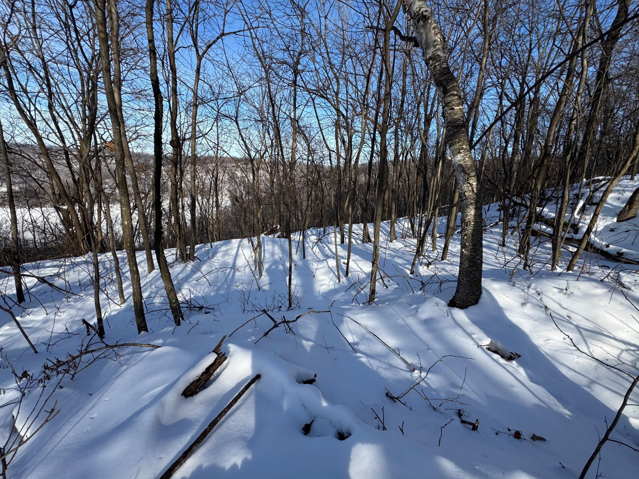 W27022 Whistle Pass Road Dodge, WI 54661 - Photo 6 of 117