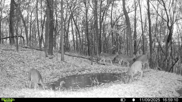 $806,000 | W27022 Whistle Pass Road, Dodge, WI 54661