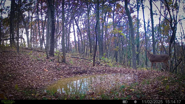 $806,000 | W27022 Whistle Pass Road, Dodge, WI 54661