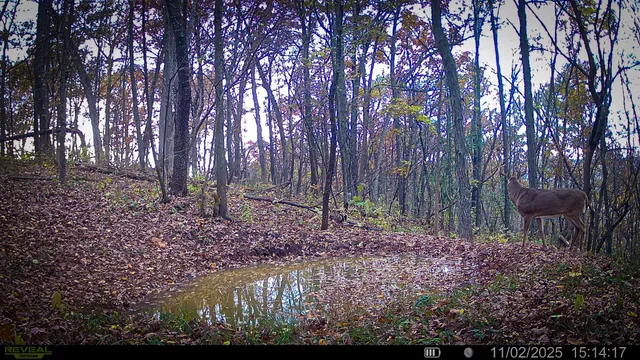 $806,000 | W27022 Whistle Pass Road, Dodge, WI 54661