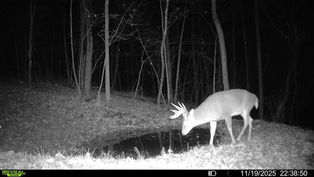 $806,000 | W27022 Whistle Pass Road, Dodge, WI 54661