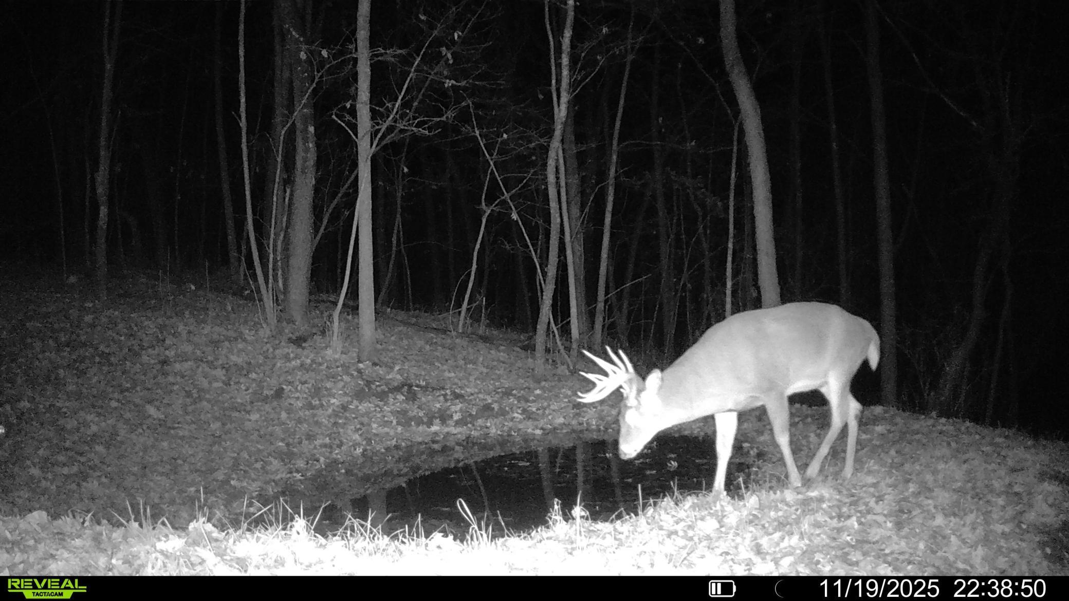 W27022 Whistle Pass Road Dodge, WI 54661 - Photo 63 of 117