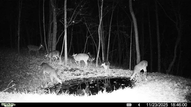 $806,000 | W27022 Whistle Pass Road, Dodge, WI 54661